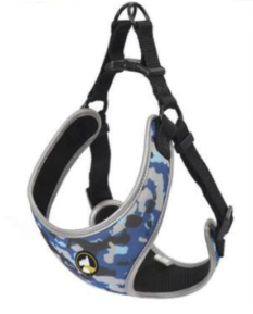 ARNES WONDER DOG AMY TALLA S