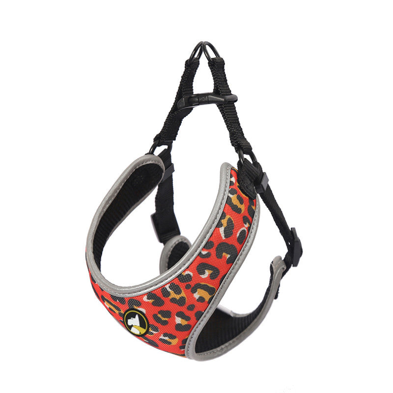ARNES WONDER DOG AMY TALLA XS