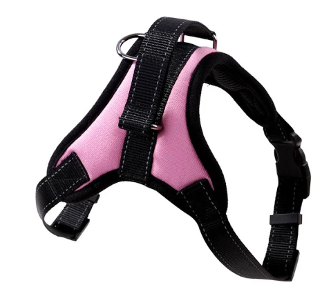 ARNES CON MANGO XS