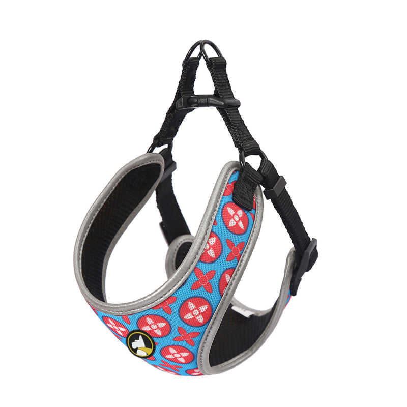 ARNES WONDER DOG AMY TALLA XS