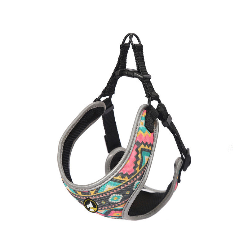 ARNES WONDER DOG AMY TALLA XS