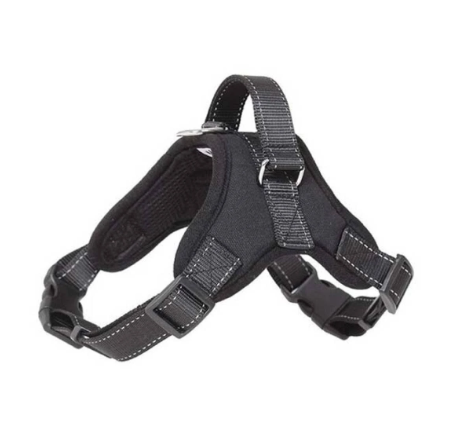 ARNES CON MANGO XS