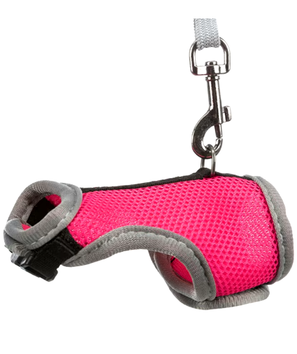 ARNES EXOTICO PARA PEQUEÑAS MASCOTAS T/S