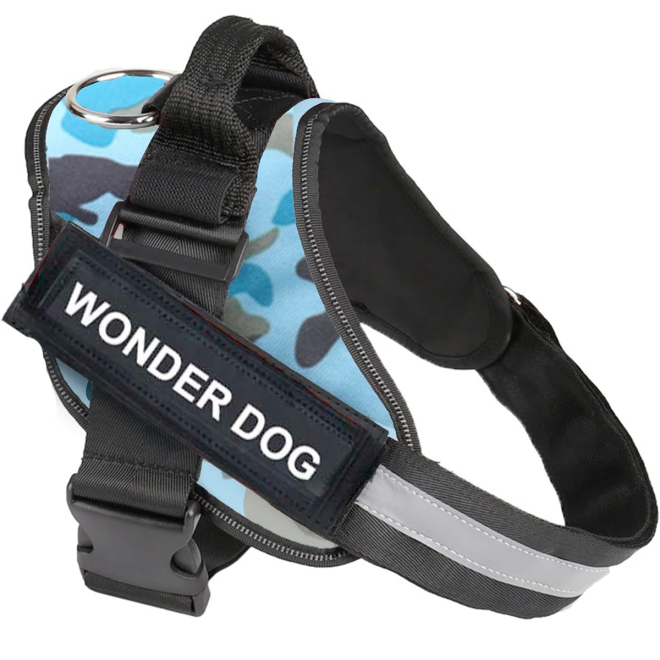 ARNES WONDER DOG TALLA XS