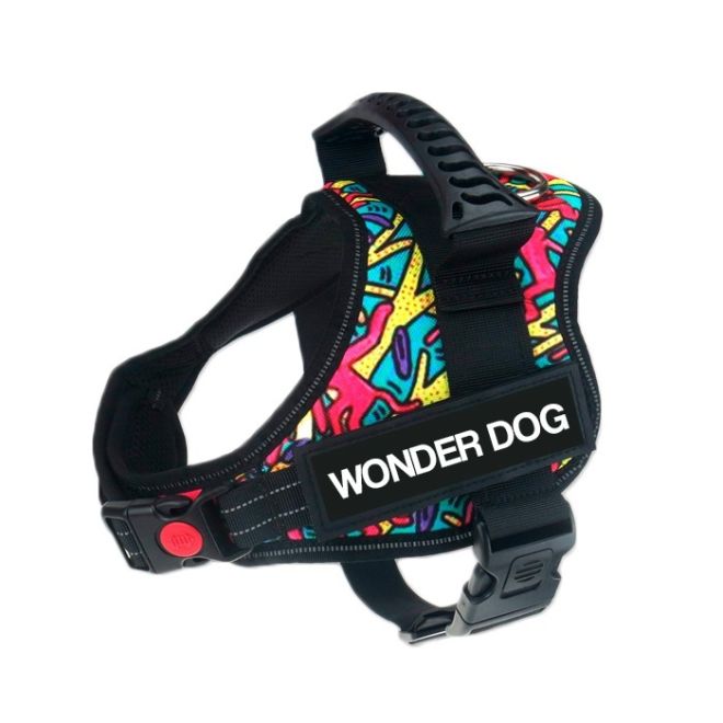 ARNES WONDER DOG TALLA S