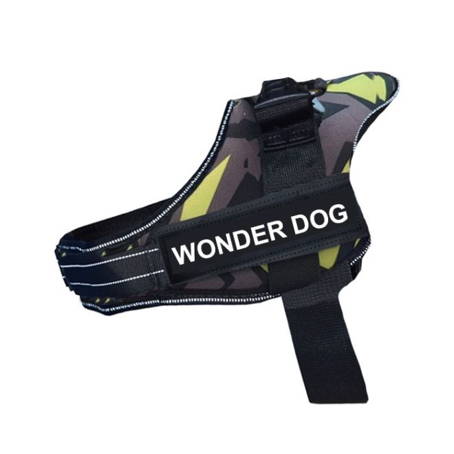 ARNES WONDER DOG TALLA XL