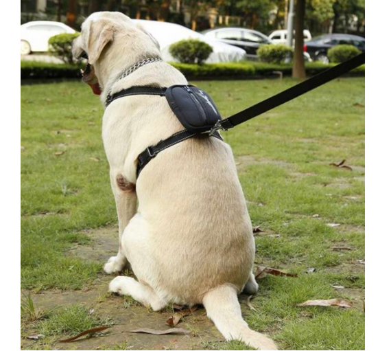 ARNES CON MOCHILA + TRAILLA PARA PERROS TALLA XL