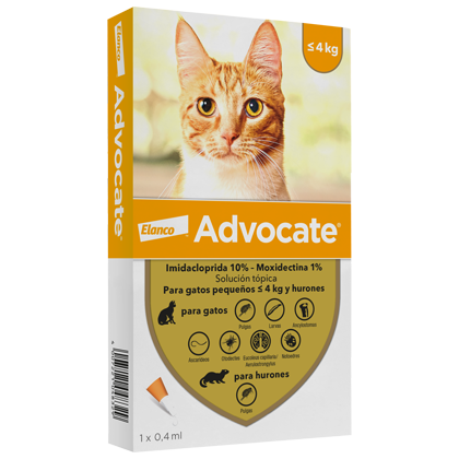 ADVOCATE HASTA 4K