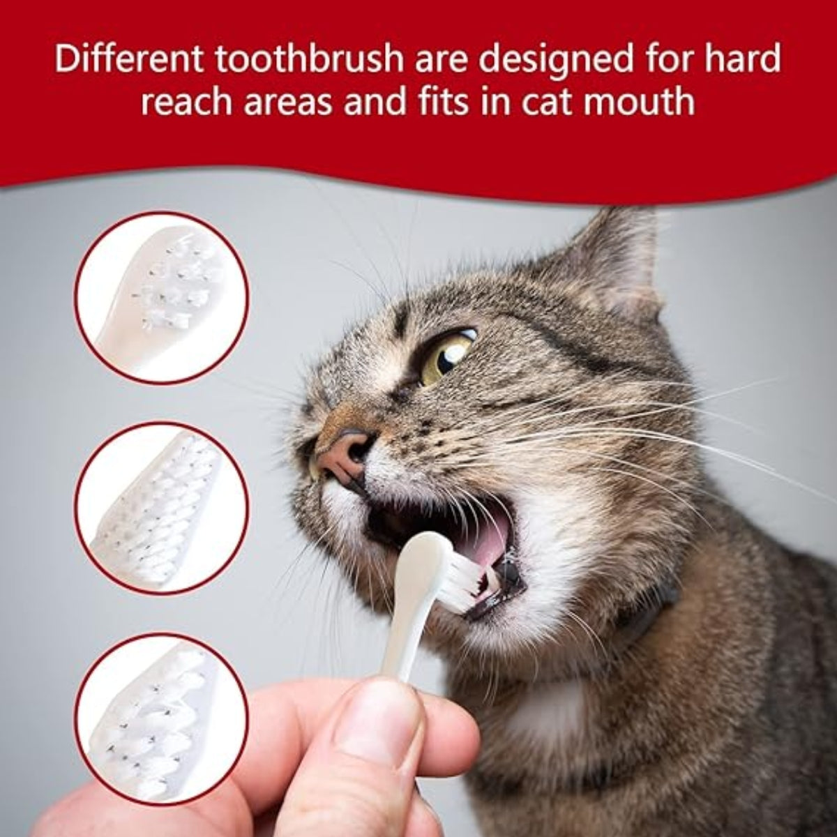 SET HIGIENE DENTAL PARA GATOS