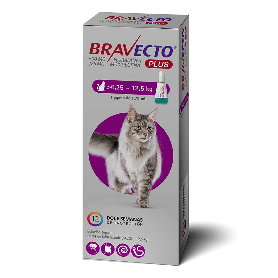 BRAVECTO PLUS 6,25K A 12,5K