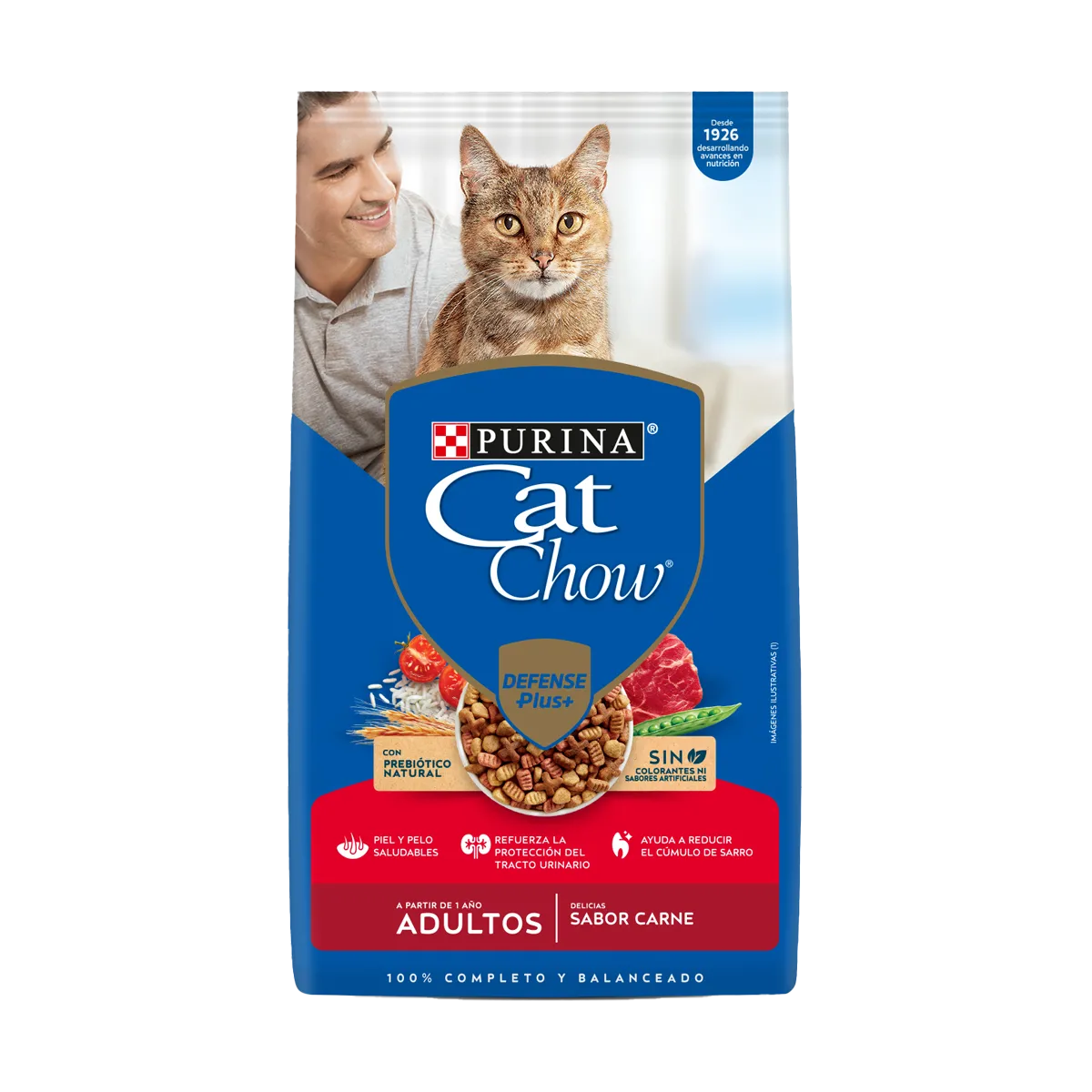 CAT CHOW ADULTOS DELICIAS SABOR CARNE 24K