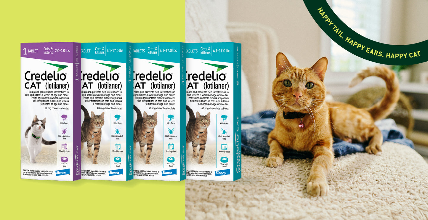 CREDELIO CATS LOTILANER 48MG
