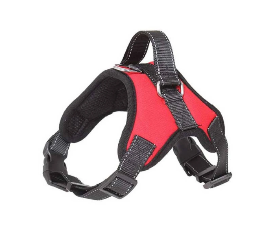 ARNES CON MANGO XS