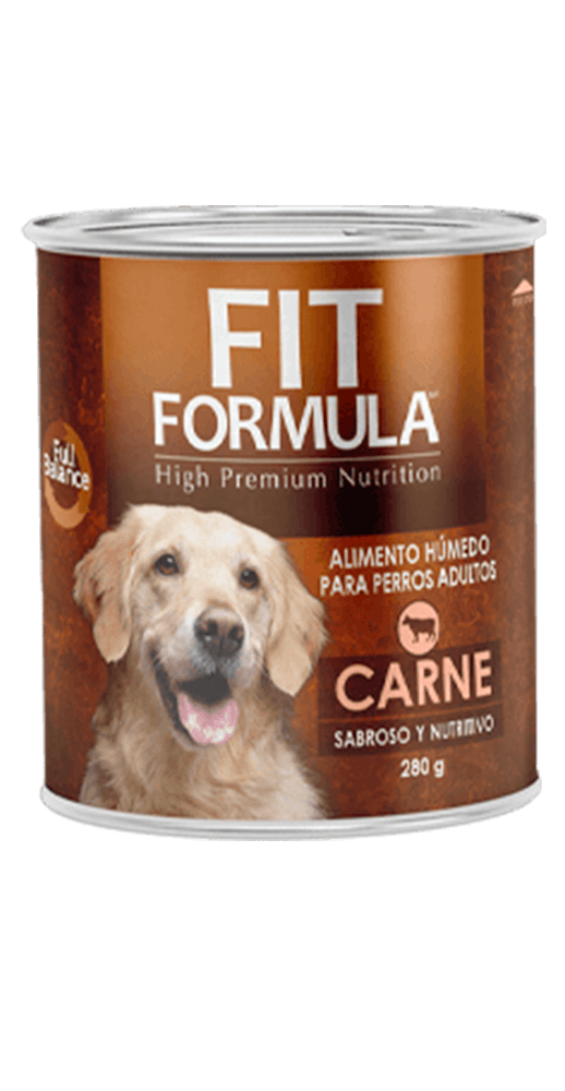 FIT FORMULA PERRO SABOR CARNE 290G