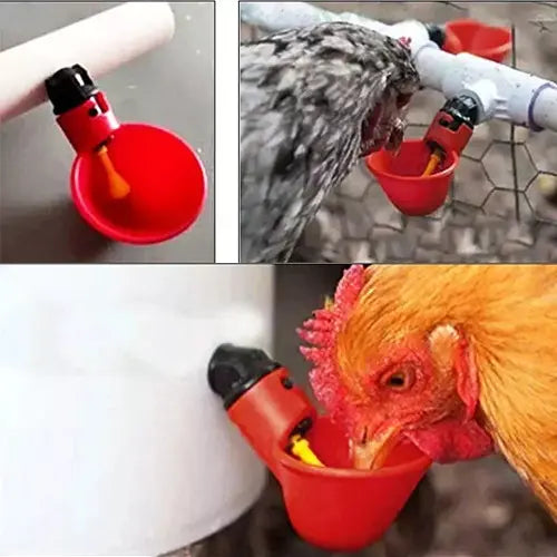 SET DE 10 BEBEDEROS COPA DIRECTO PARA AVES DE GRANJA