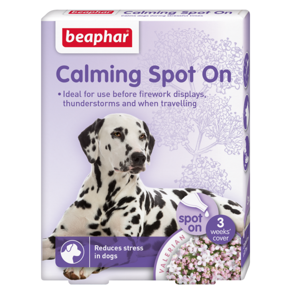 CALMING SOPT ON