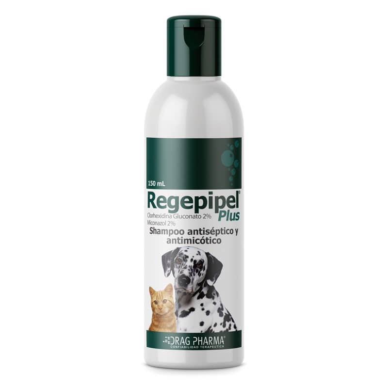 REGEPIPEL PLUS SHAMPOO 150ML