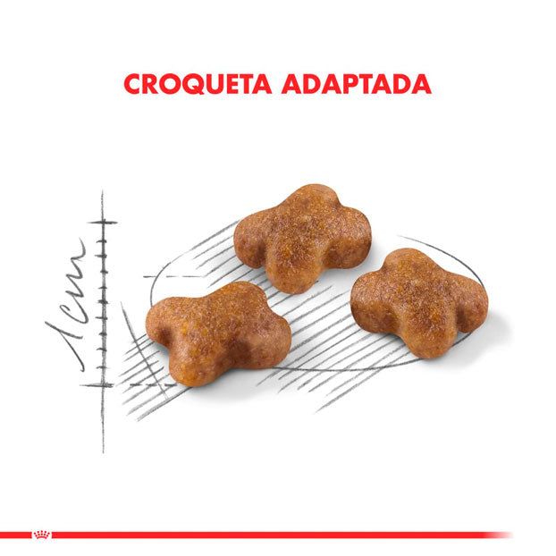 ROYAL CANIN KITTEN 1.5KG