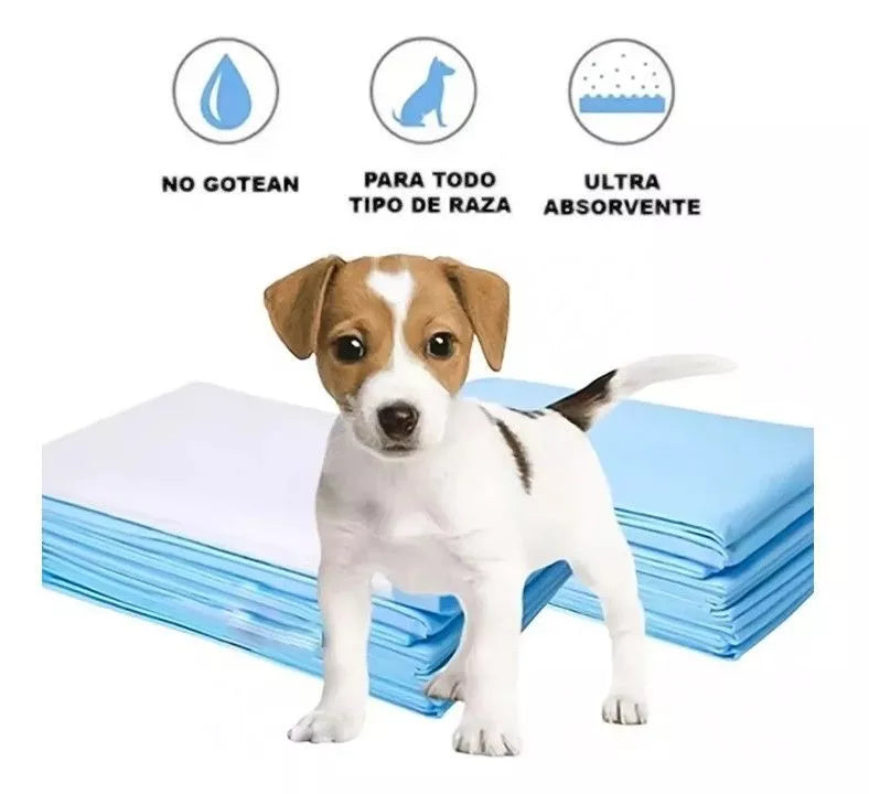 BABYPETS TRAINING PADS 60X60 CM 10 UNIDADES