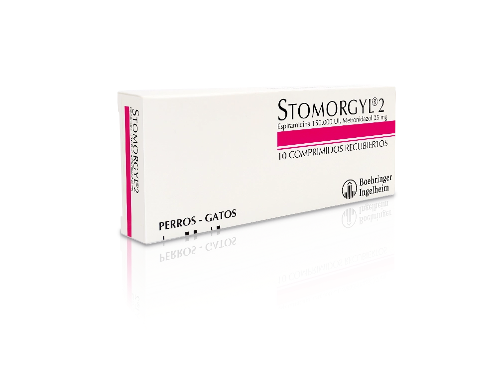 STOMORGYL 2 10 COMPRIMIDOS