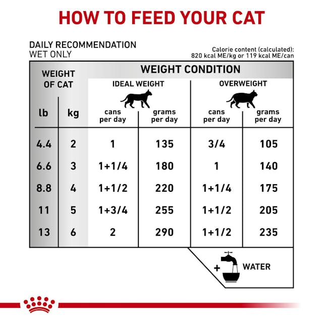 ROYAL CANIN URINARY S/0 GATO 145GR