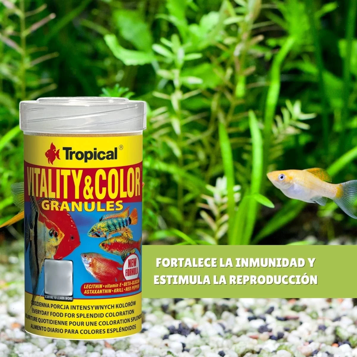 TROPICAL VITALITY & COLOR GRANULES 55GR - 138GR