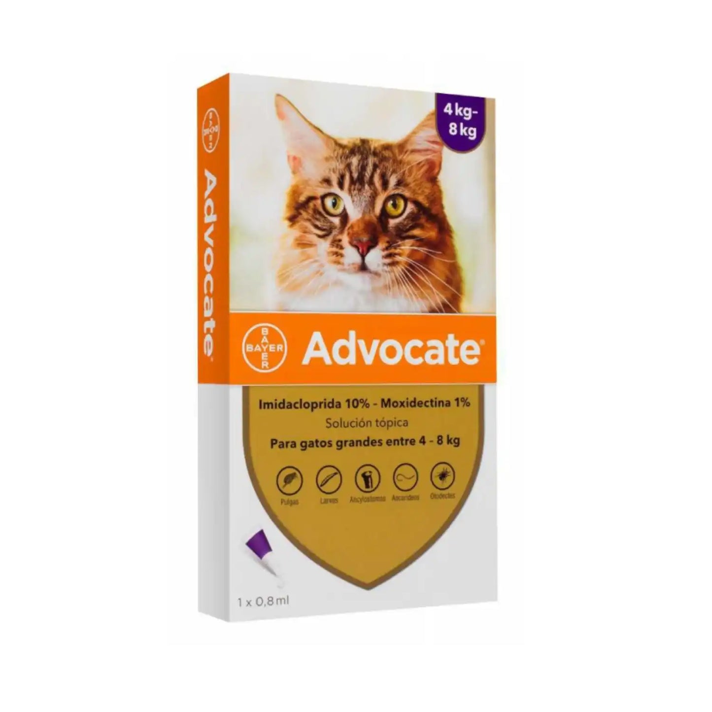 ADVOCATE 4K A 8K