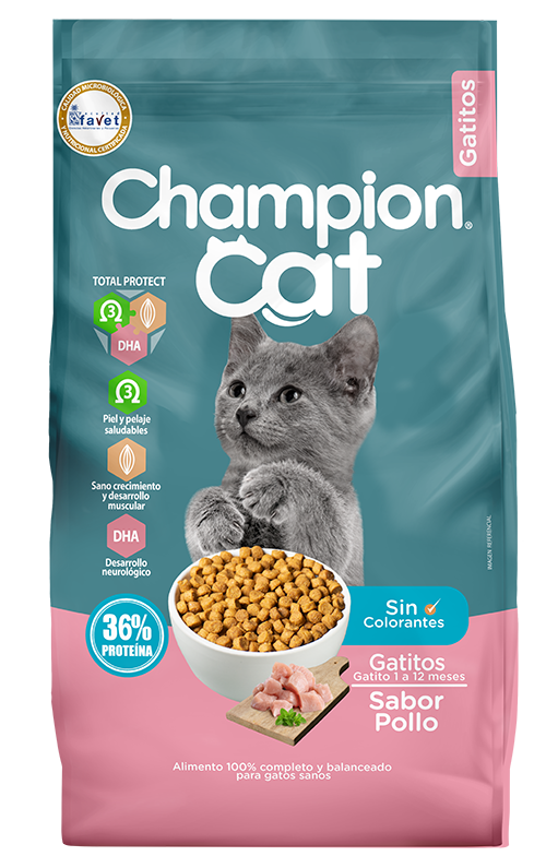 CHAMPION CAT GATITOS 20K