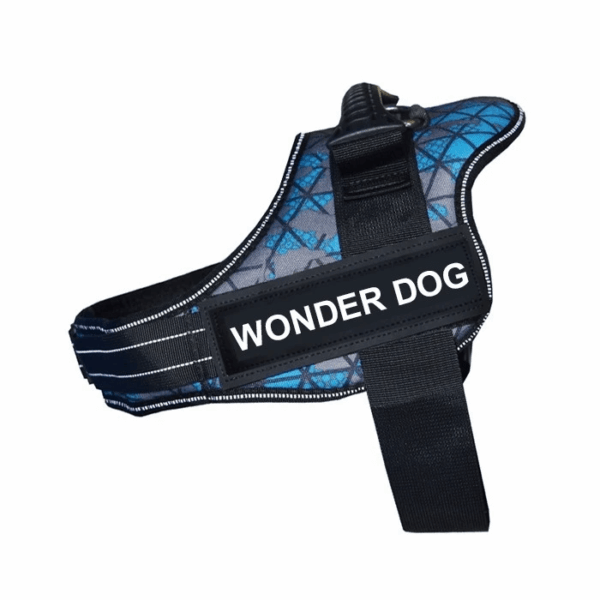 ARNES WONDER DOG HH088 TALLA XXL
