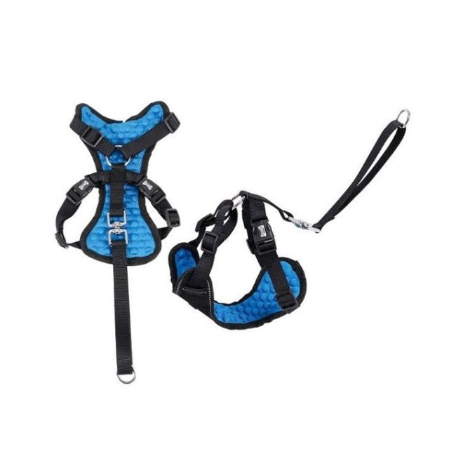 ARNES Y CINTURON DE SEGURIDAD PARA MASCOTAS
