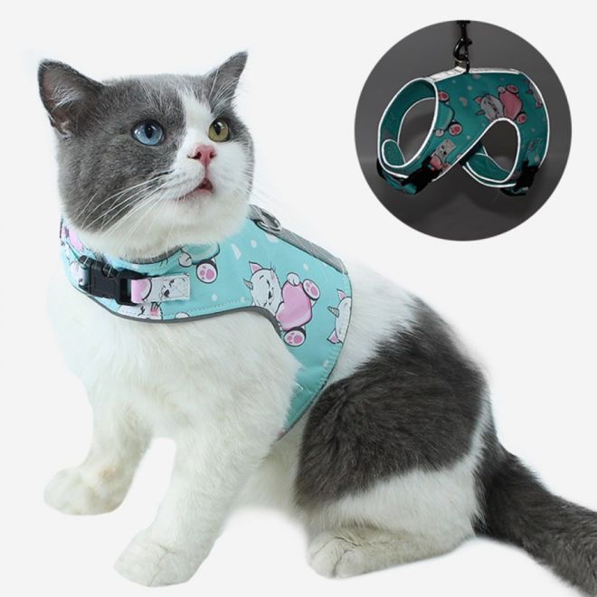 ARNES WONDER CAT CON CORREA TALLA XS