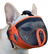BOZAL PERRO BRAQUICÉFALO