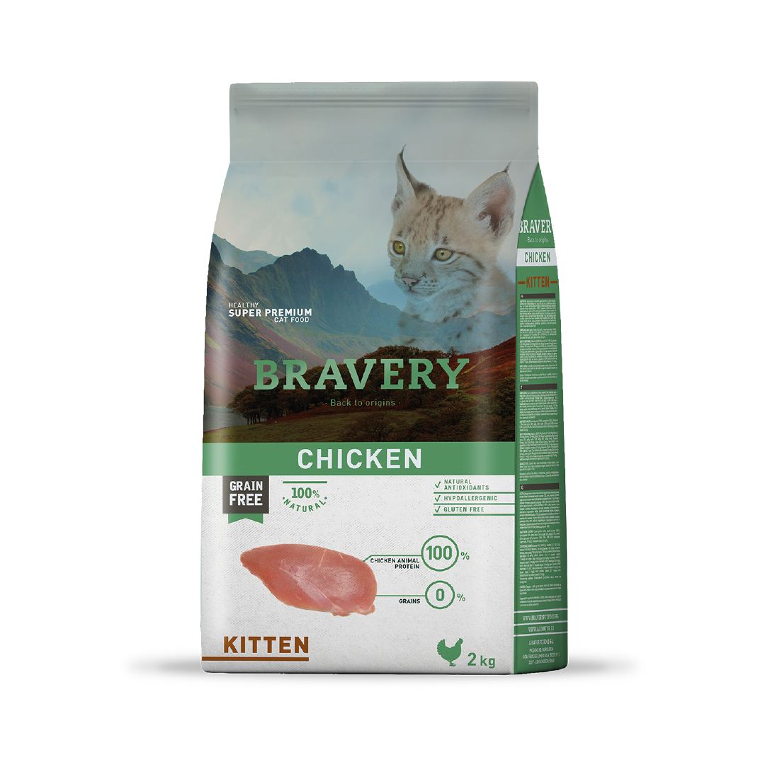 BRAVERY CHICKEN KITTEN 2K