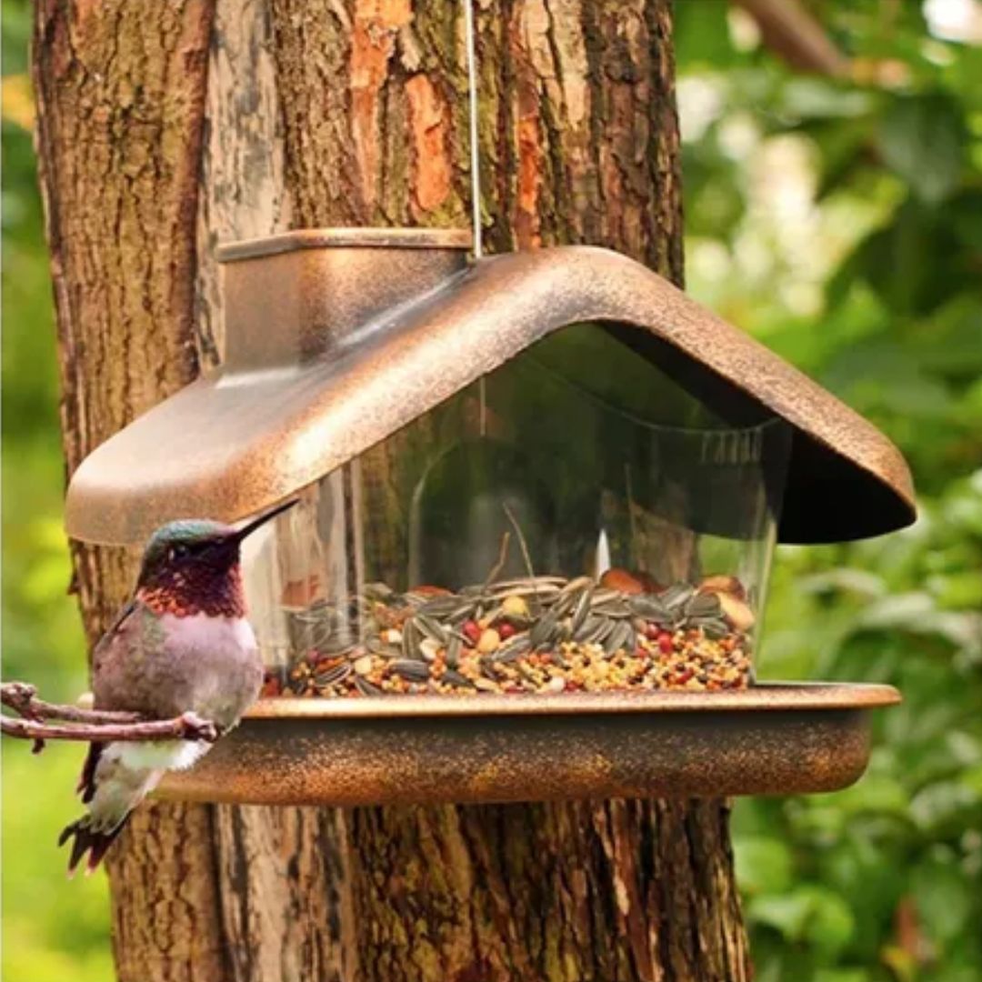 ALIMENTADOR COLIBRÍ