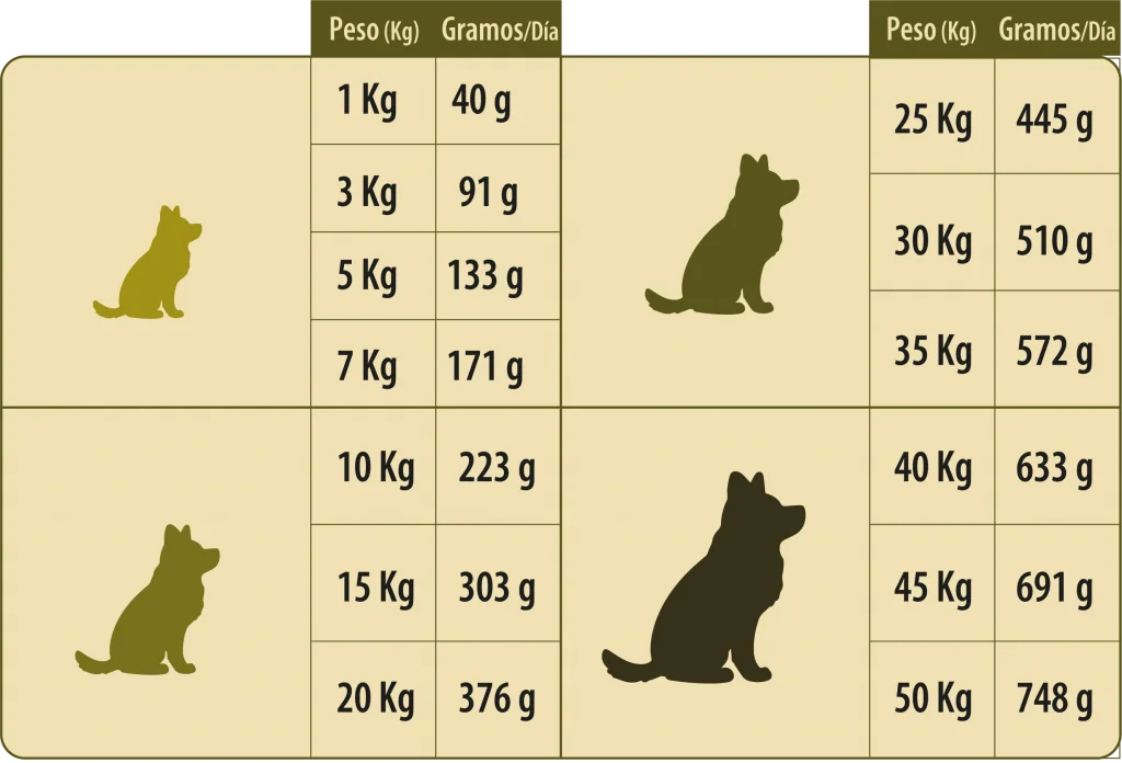 SUPERPET ALIMENTO CACHORRO 18KG
