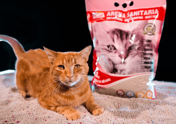 ARENA SANITARIA AGLOMERANTE VIP CAT