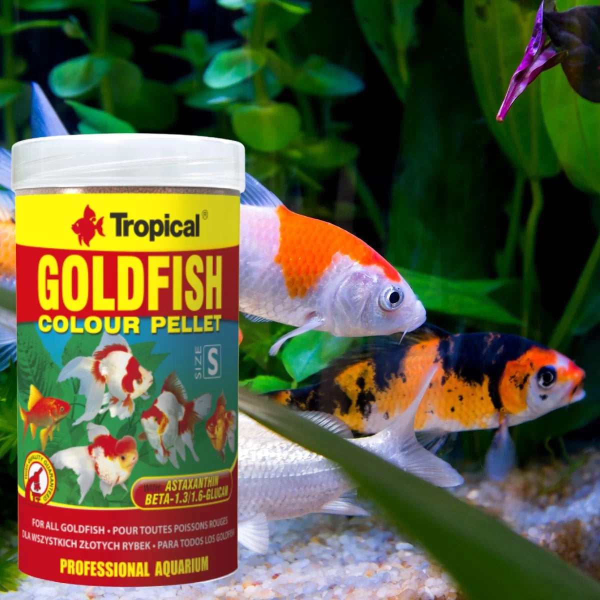 TROPICAL GOLDFISH COLOUR PELLET 36GR - 90GR - 360GR