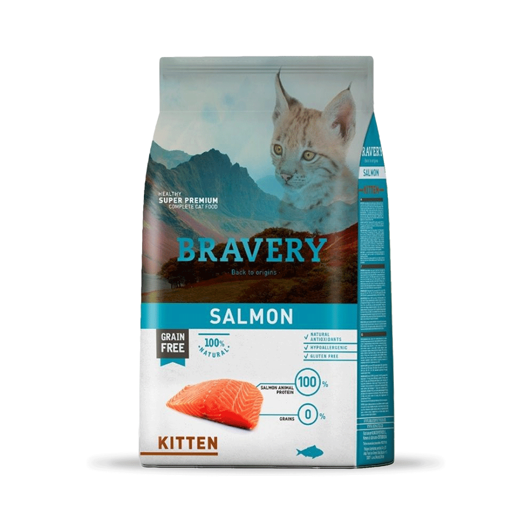 BRAVERY SALMON KITTEN 2K