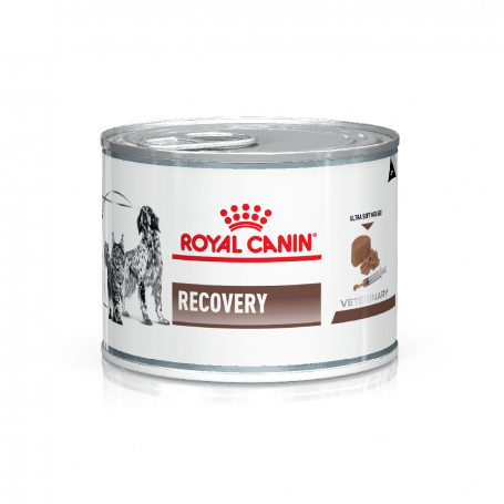 ROYAL CANIN RECOVERY GATO - PERRO 145GR