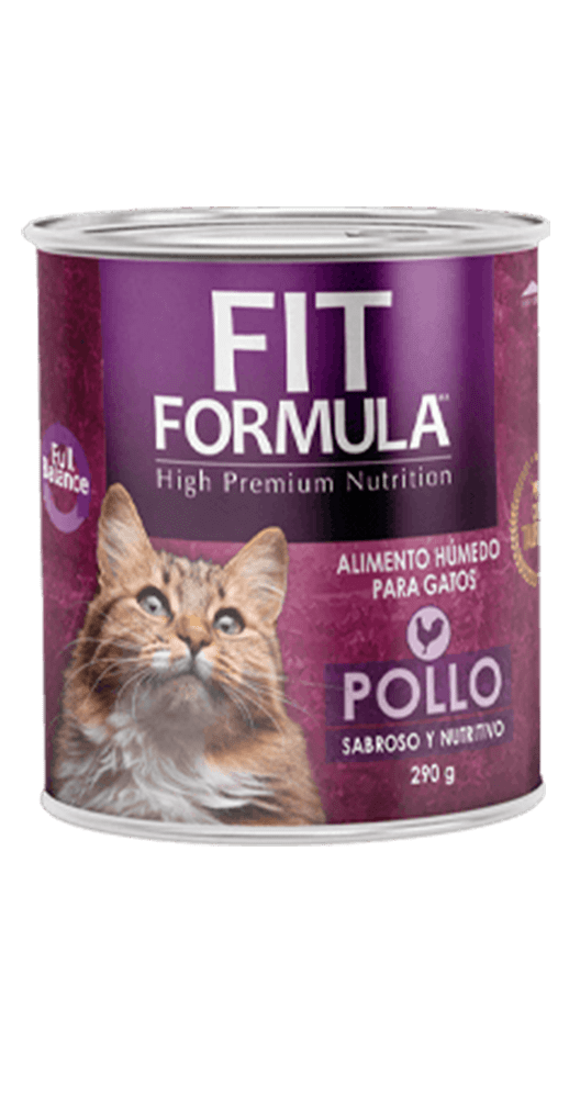 FIT FORMULA GATO POLLO 290GR