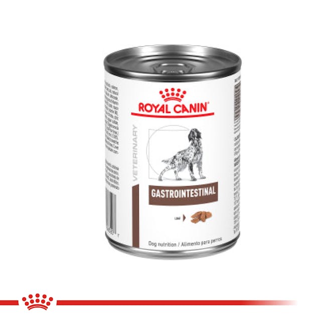 ROYAL CANIN GASTROINTESTINAL PERRO 385GR.