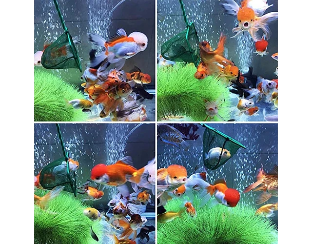RED DE MALLA FINA PARA PECES DE ACUARIO