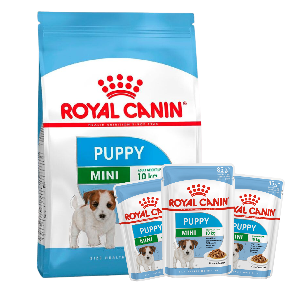 ROYAL CANIN MINI PUPPY PACK 3KG