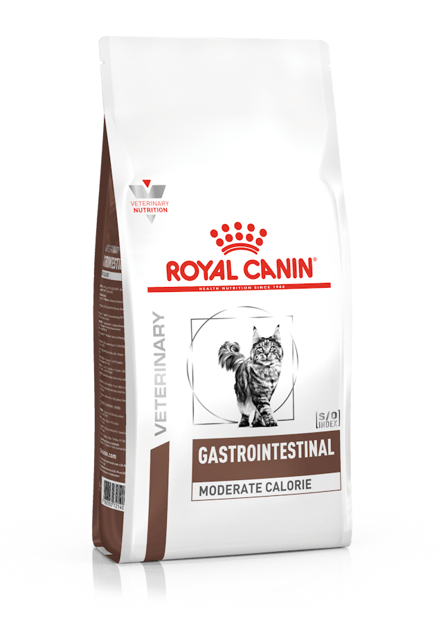 ROYAL CANIN GASTROINTESTINAL GATO 2K