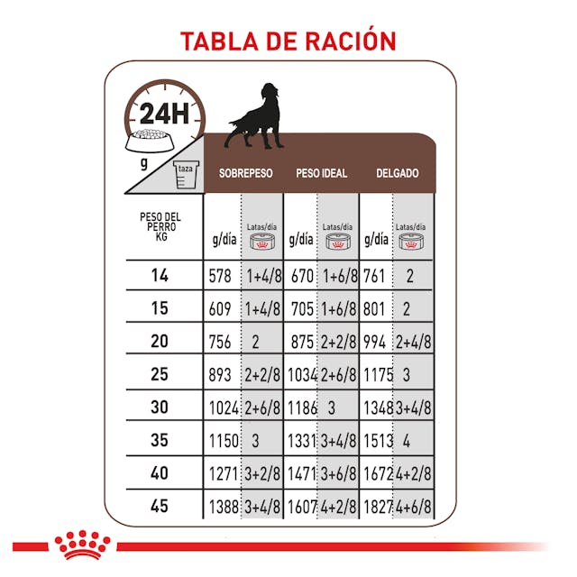 ROYAL CANIN GASTROINTESTINAL PERRO 385GR.
