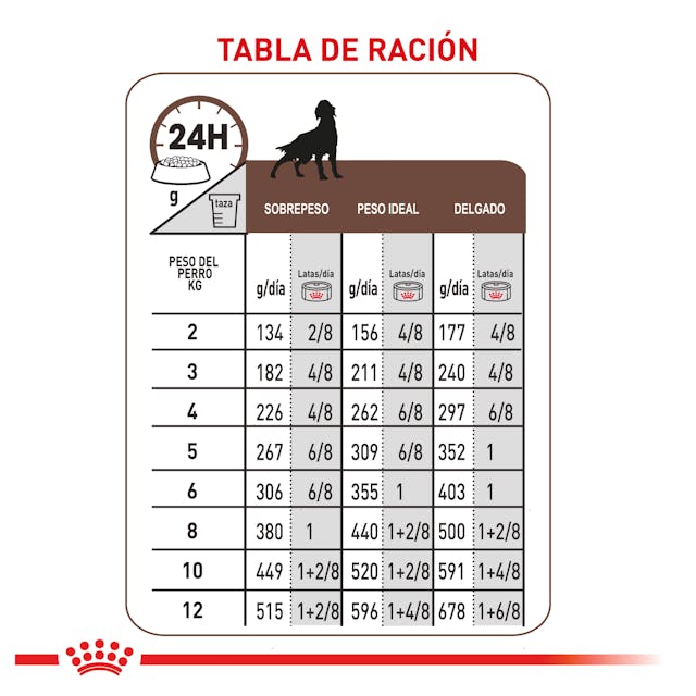 ROYAL CANIN GASTROINTESTINAL PERRO 385GR.