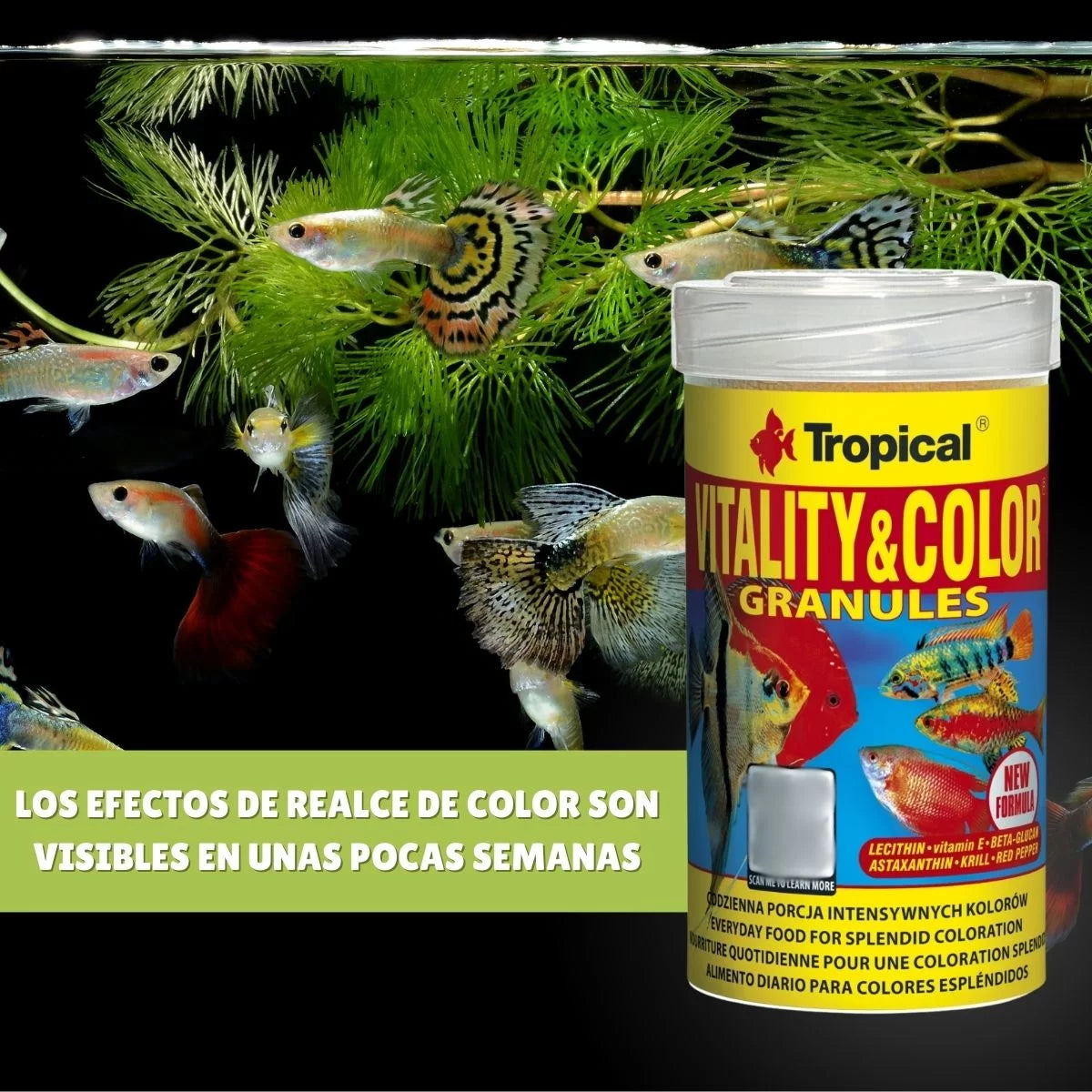 TROPICAL VITALITY & COLOR GRANULES 55GR - 138GR