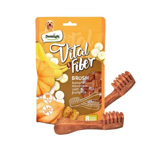 VITAL FIBER BRUSH DENTALIGHT