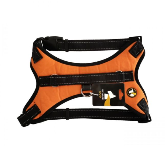 ARNES WONDER CON MANGO M JW-0109