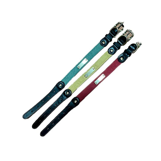 COLLAR PARA PERROS DE CUERO Y ALGODON WONDER DOG